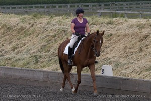 ISIS Dressage Challenge 2008